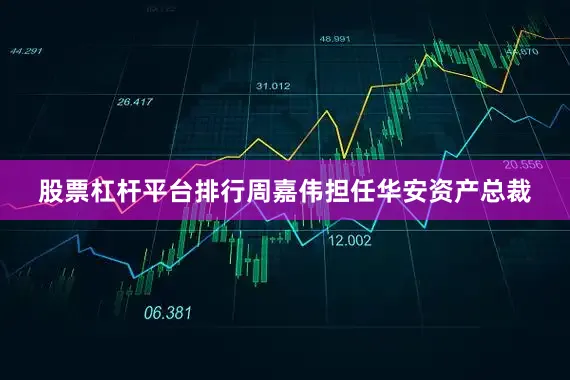 股票杠杆平台排行周嘉伟担任华安资产总裁