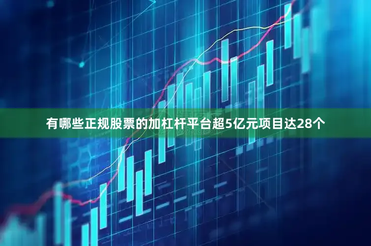 有哪些正规股票的加杠杆平台超5亿元项目达28个
