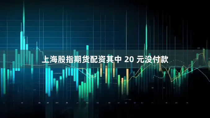 上海股指期货配资其中 20 元没付款