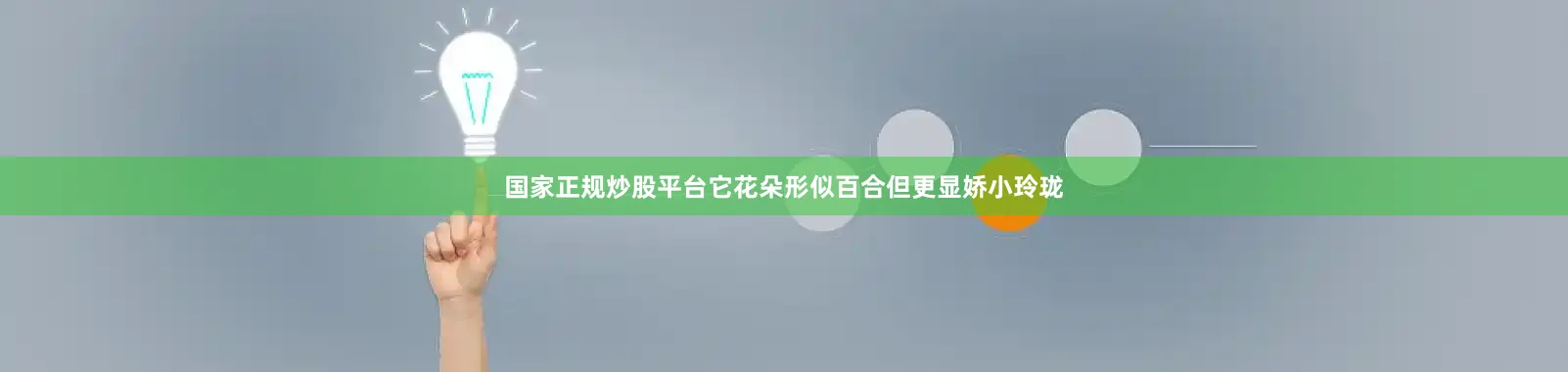 国家正规炒股平台它花朵形似百合但更显娇小玲珑