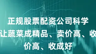 正规股票配资公司科学种植让蔬菜成精品、卖价高、收成好